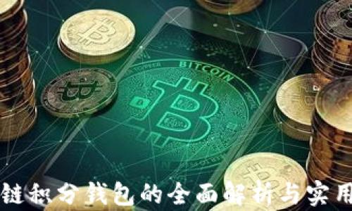 
區(qū)塊鏈積分錢包的全面解析與實(shí)用指南