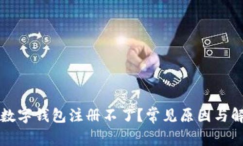 為什么數(shù)字錢(qián)包注冊(cè)不了？常見(jiàn)原因與解決方案