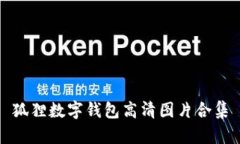 狐貍數字錢包高清圖片合