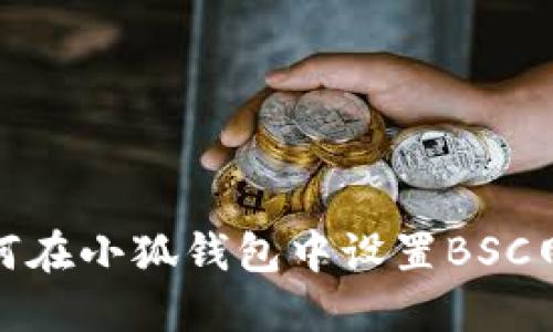 如何在小狐錢(qián)包中設(shè)置BSC網(wǎng)絡(luò)