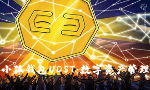 全面解析小狐錢包UDST：數(shù)字資產管理的新選擇