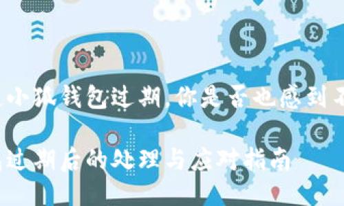 每當(dāng)提起小狐錢包過(guò)期，你是否也感到不知所措？

小狐錢包過(guò)期后的處理與應(yīng)對(duì)指南