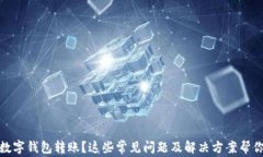 沒有收到數(shù)字錢包轉(zhuǎn)賬？