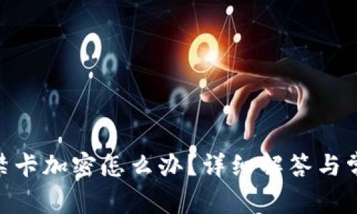 vivo錢包門禁卡加密怎么辦？詳細(xì)解答與常見問題解析