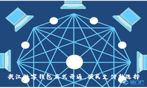 武漢數(shù)字錢包正式開通，便民支付新選擇