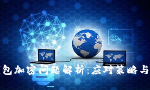 狗狗幣錢包加密問題解析：應(yīng)對(duì)策略與解決方案