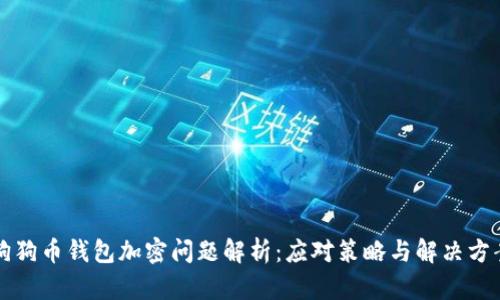 狗狗幣錢包加密問題解析：應(yīng)對(duì)策略與解決方案