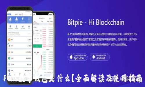   
Puls數(shù)字錢包是什么？全面解讀及使用指南