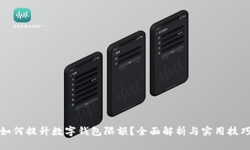 如何提升數(shù)字錢包限額？全面解析與實用技巧