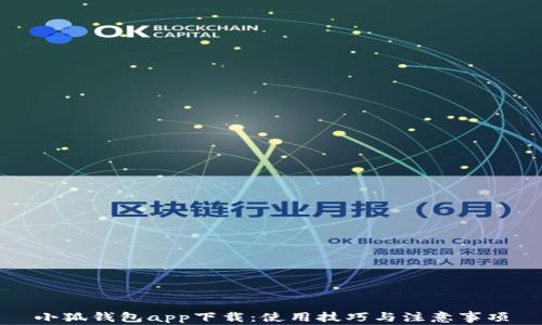 
小狐錢包app下載：使用技巧與注意事項(xiàng)