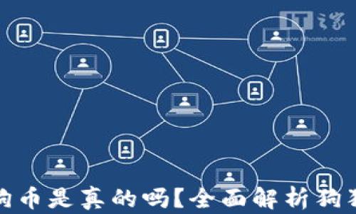 
小狐錢包存狗狗幣是真的嗎？全面解析狗狗幣存儲(chǔ)安全性