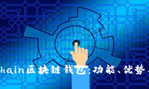 全面解析Chain區(qū)塊鏈錢包：功能、優(yōu)勢與應(yīng)用場景