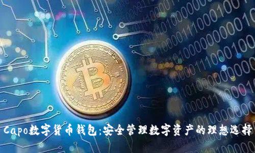 Capo數(shù)字貨幣錢(qián)包：安全管理數(shù)字資產(chǎn)的理想選擇