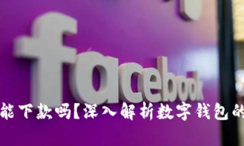 數(shù)字錢包還能下款嗎？深入解析數(shù)字錢包的現(xiàn)狀與未來(lái)
