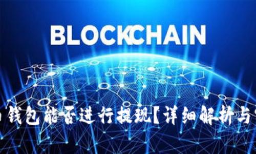 加密貨幣錢包能否進行提現(xiàn)？詳細(xì)解析與實用指南