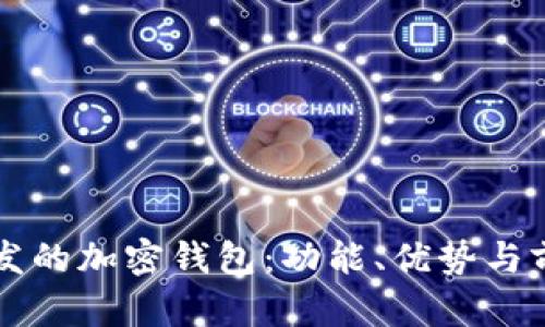 國內(nèi)開發(fā)的加密錢包：功能、優(yōu)勢與前景分析
