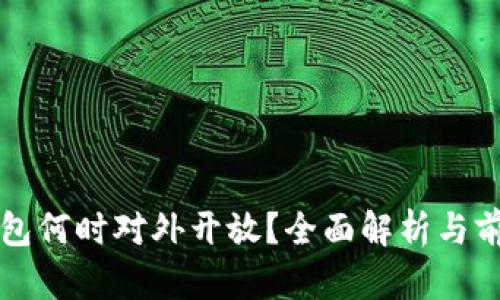 數(shù)字錢包何時(shí)對外開放？全面解析與前景展望