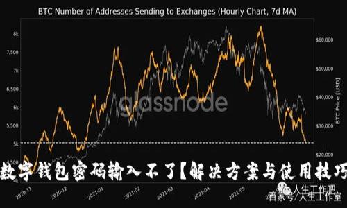 數(shù)字錢包密碼輸入不了？解決方案與使用技巧