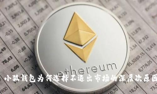  小狐錢包為何選擇不退出市場(chǎng)的深層次原因