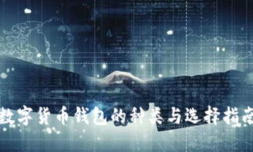 數(shù)字貨幣錢(qián)包的種類與選擇指南