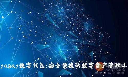 biyapay數字錢包：安全便捷的數字資產管理工具