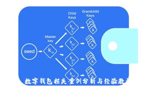 數(shù)字錢包損失案例分析與經(jīng)驗教訓(xùn)