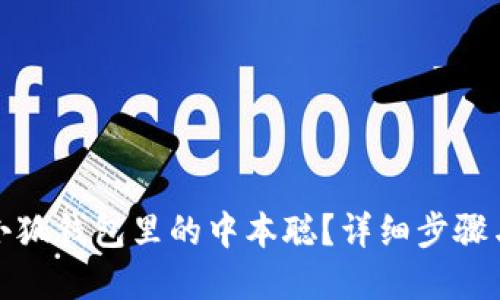 如何找回小狐錢包里的中本聰？詳細(xì)步驟與解決方案